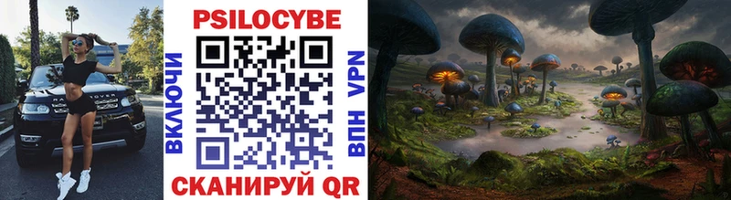 Галлюциногенные грибы MAGIC MUSHROOMS Купить закладки Зеленогорск
